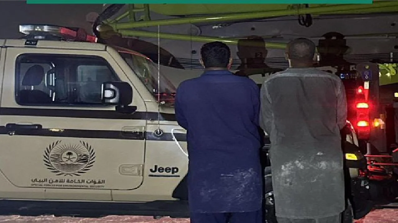 ضبط باكستانيين في جريمة بيئية بالشرقية بعد تفريغهما مخلفات خرسانية بالطرقات